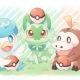 アニポケ１回！！
