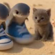 とられろとらららかねこを打つだけ