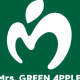 Ｍｒｓ．ＧＲＥＥＮ ＡＰＰＬＥの曲を１回