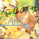 私の好きなポケモン！
