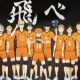 ハイキュー（烏野高校）
