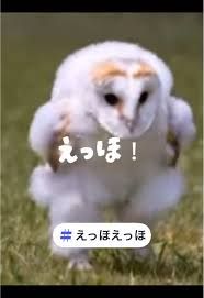 背景