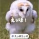 えっほえっほ替え歌