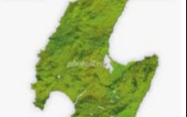 背景