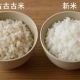 古古古米連打
