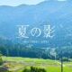 夏の影サビだけ