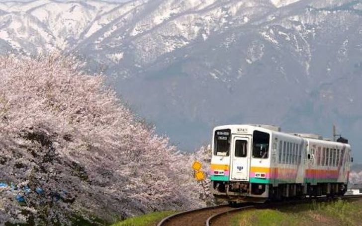 背景