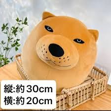 背景