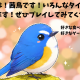 茜鳥初見さんに説明！
