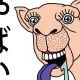 世界1やばいタイピング