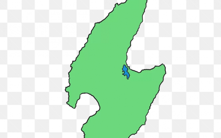 背景