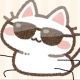 ねこっち一回