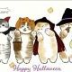 ハロウィン一回！