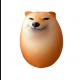 しばこっっこ
