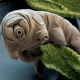 生物タイピング