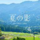 夏の影 歌詞　サビだけ