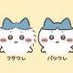 ハチワレ