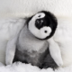 ペンギンの名前タイピング