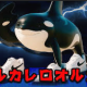 オルカレロオルカラ一回