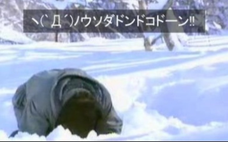 背景