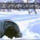 ウソダドンドコドーン一回