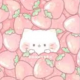 苺猫一回