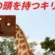 一位になれねーよ。　現実をみろ。