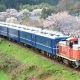 樽見鉄道 樽見線