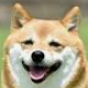 犬タイピング