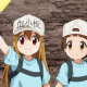 はたらく細胞おみくじ〜
