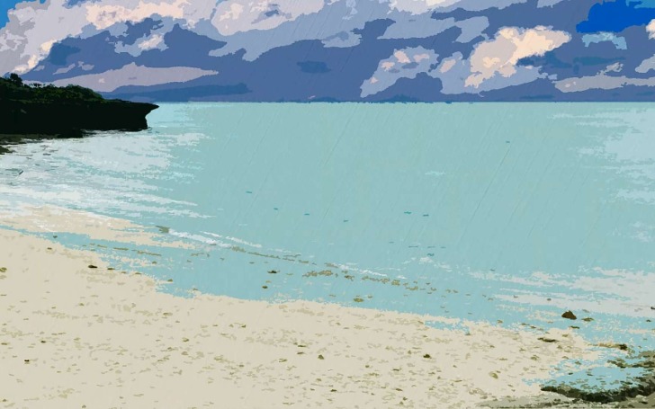 背景