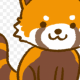 レッサーパンダ１回