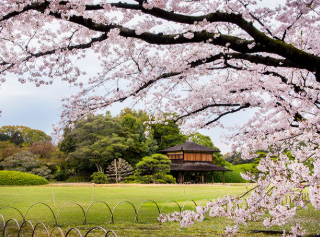 背景