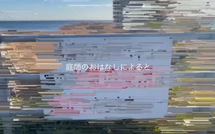 背景