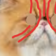 12345678910