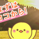マイタイピング！