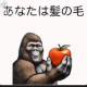 あーなーたーは髪の毛ありますか？