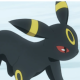 ブラッキー打ちまくりましょう！