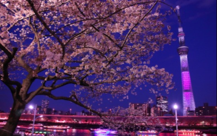 背景