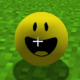 ベリティ　一回