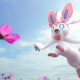 ニンフィア一回
