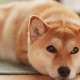 「ち」って打つだけ