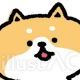 犬1回