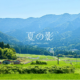 夏の影ミセス