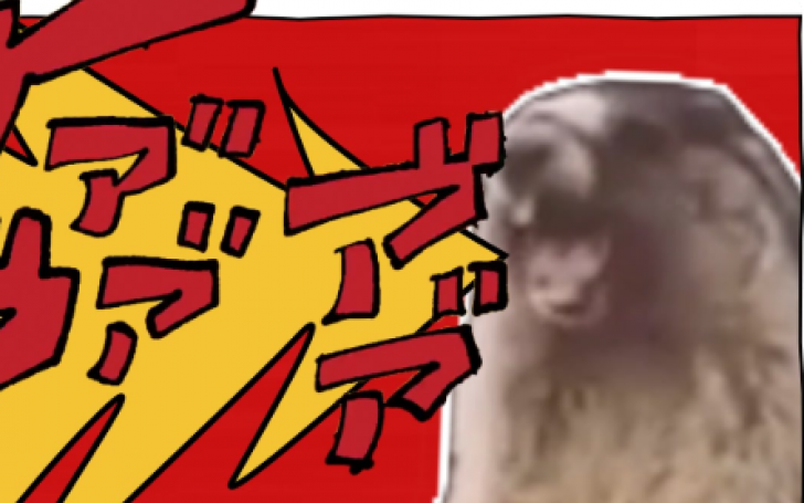 背景