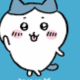 ハチワレ一回