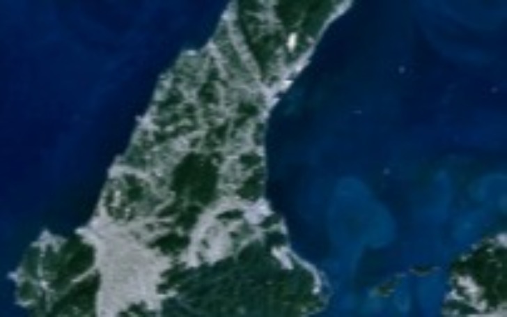 背景