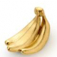 金のバナナタイピング