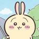 ちいかわのうさぎ１回