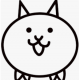 ネコを１回